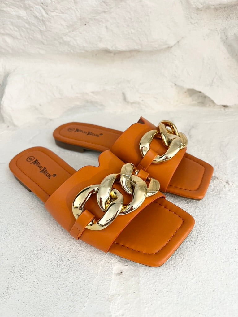 Orange Buckles